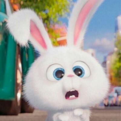 Paula Verhoeven avatar